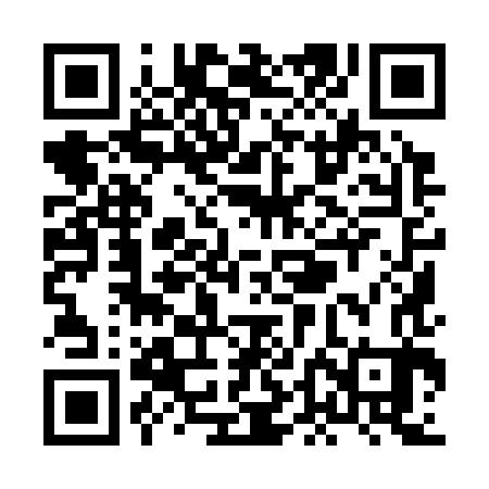 QR code for XDI383