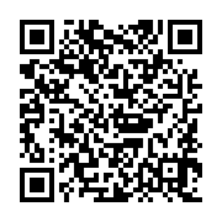 QR code for XDL595