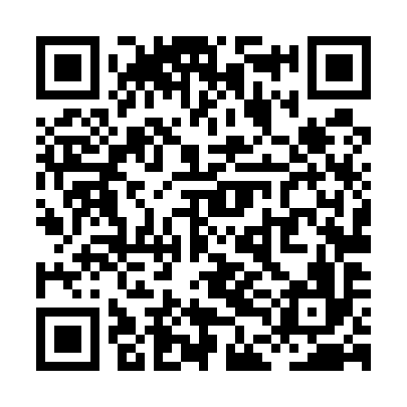 QR code for XDL596