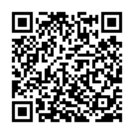 QR code for XDL619