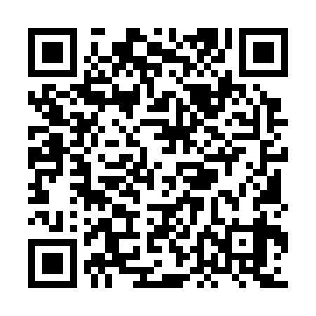 QR code for XDM339