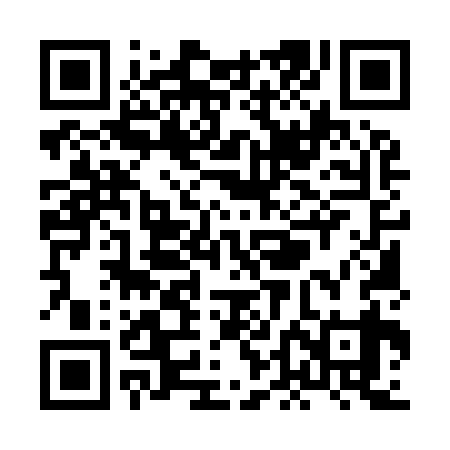 QR code for XDM939