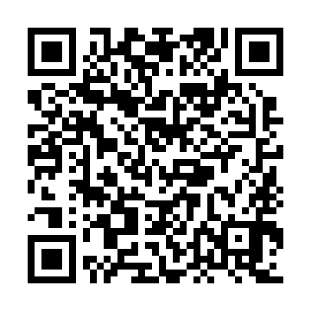 QR code for XDN290