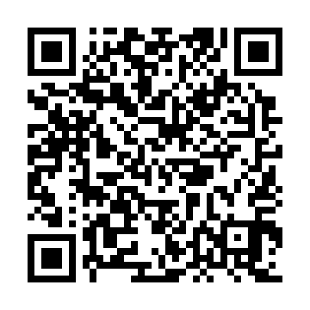 QR code for XDN311