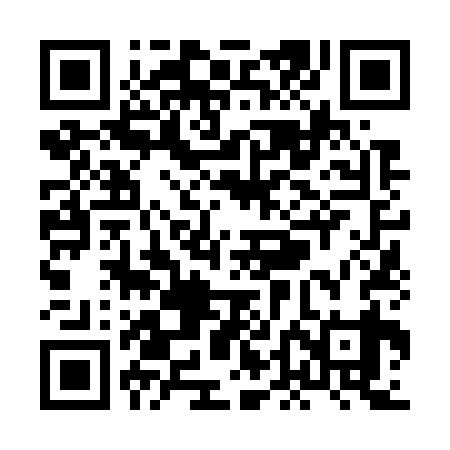 QR code for XDN739