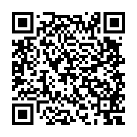 QR code for XDR489
