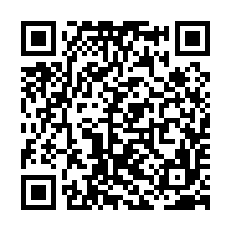 QR code for XDS196