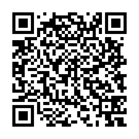 QR code for XDT538