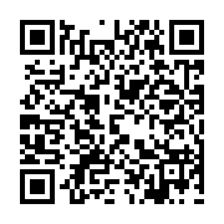 QR code for XDU993