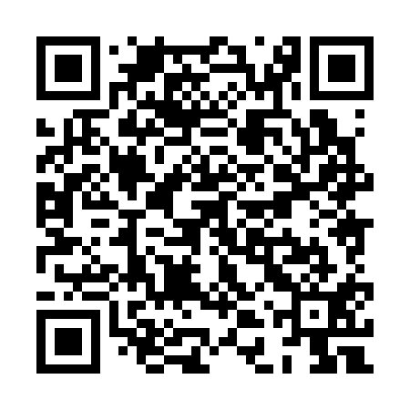 QR code for XDX311
