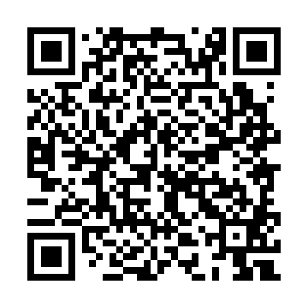 QR code for XDX381