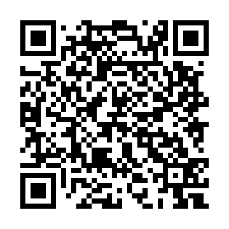 QR code for XDX533