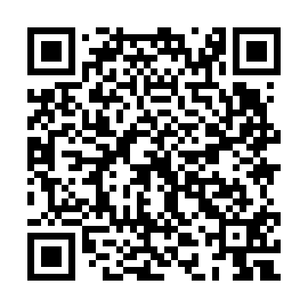 QR code for XDY611