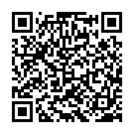 QR code for XED313