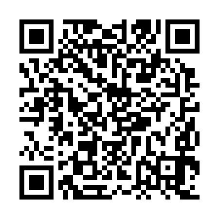 QR code for XFB393