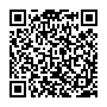 QR code for XFB493