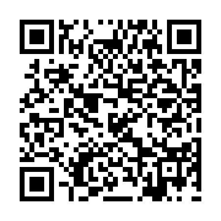 QR code for XFD313