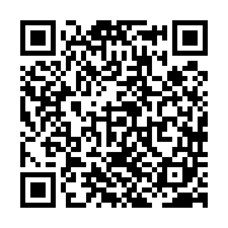QR code for XFH541
