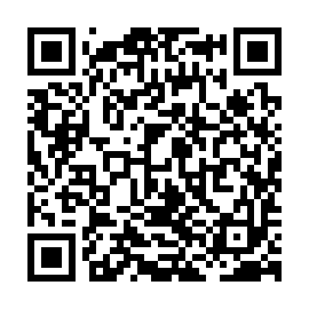 QR code for XFI393