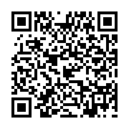 QR code for XFL313