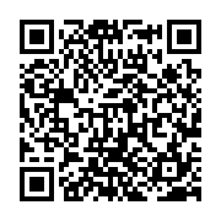QR code for XFL334