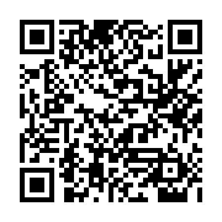 QR code for XFL411