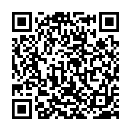 QR code for XFM313
