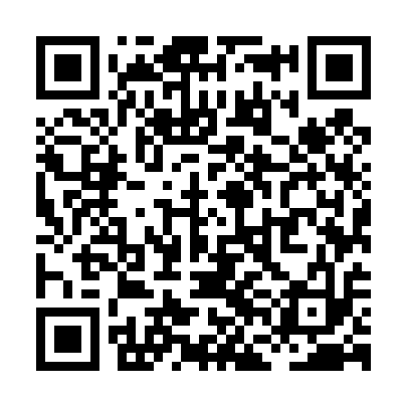 QR code for XFM413