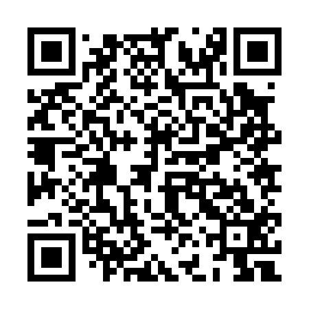 QR code for XFZ013