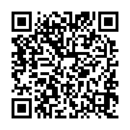 QR code for XGD393