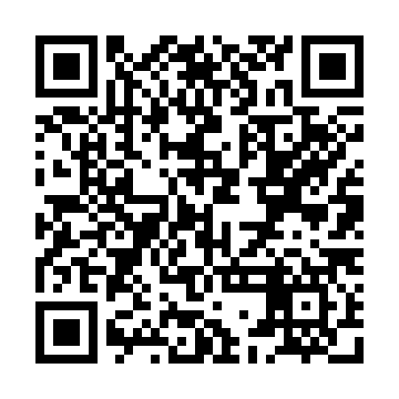 QR code for XGF387