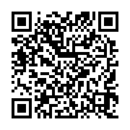 QR code for XGI313