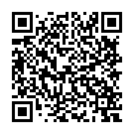 QR code for XGI867