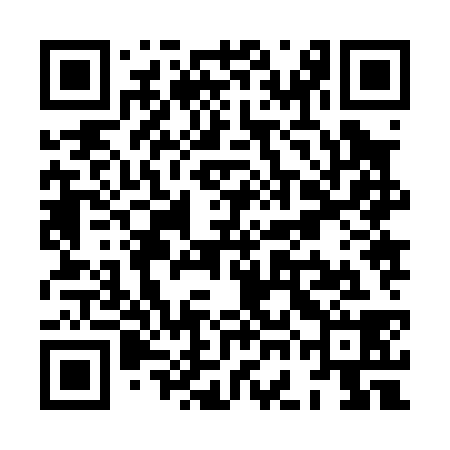 QR code for XGJ038