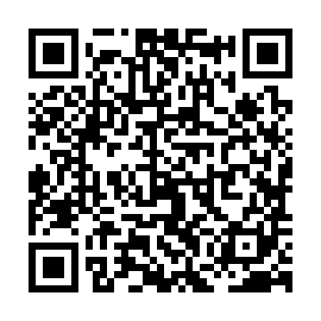 QR code for XGJ381