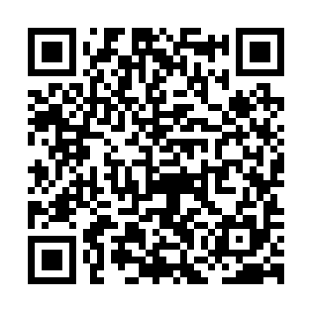 QR code for XGK295