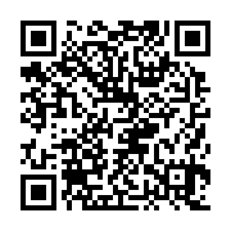 QR code for XGP335