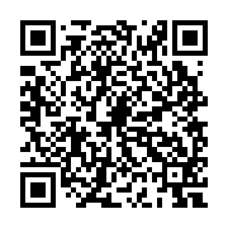 QR code for XGR393