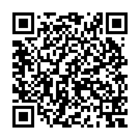 QR code for XGS299