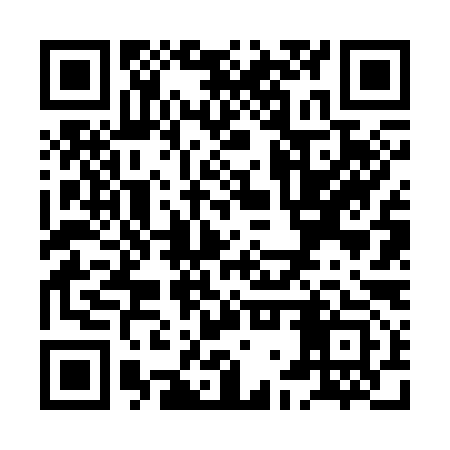 QR code for XGV393