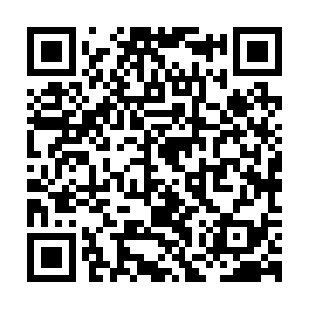 QR code for XGX239