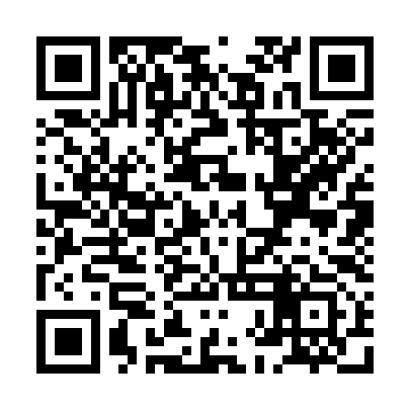 QR code for XHC393