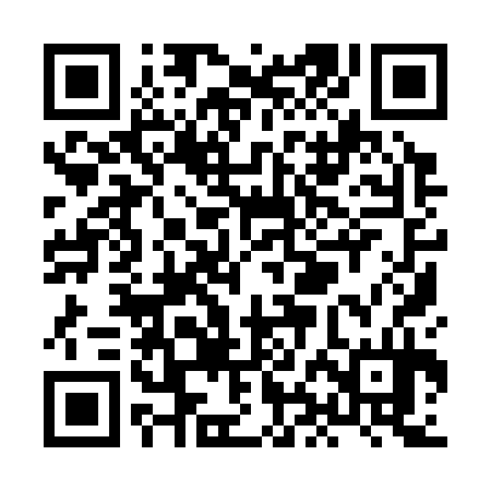 QR code for XHI334
