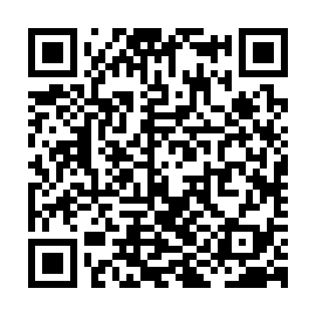 QR code for XIB339