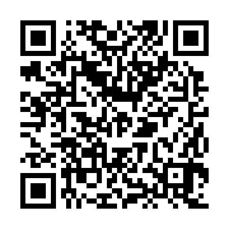 QR code for XIB382