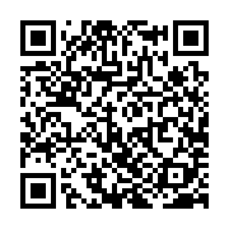 QR code for XID389