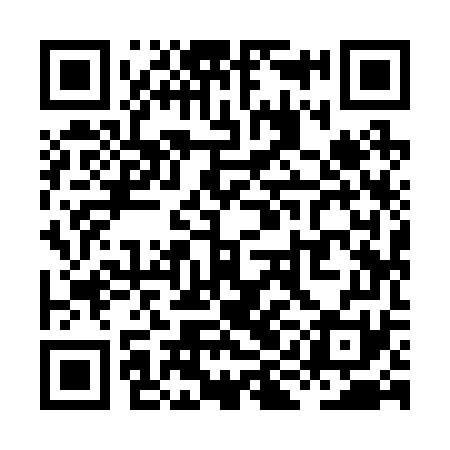 QR code for XII271
