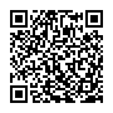 QR code for XII272