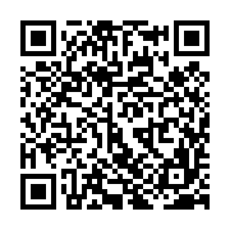 QR code for XII496