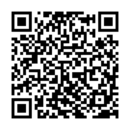 QR code for XIJ295